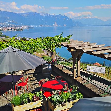 Domaine Du Burignon Otel Saint-Saphorin Dış mekan fotoğraf