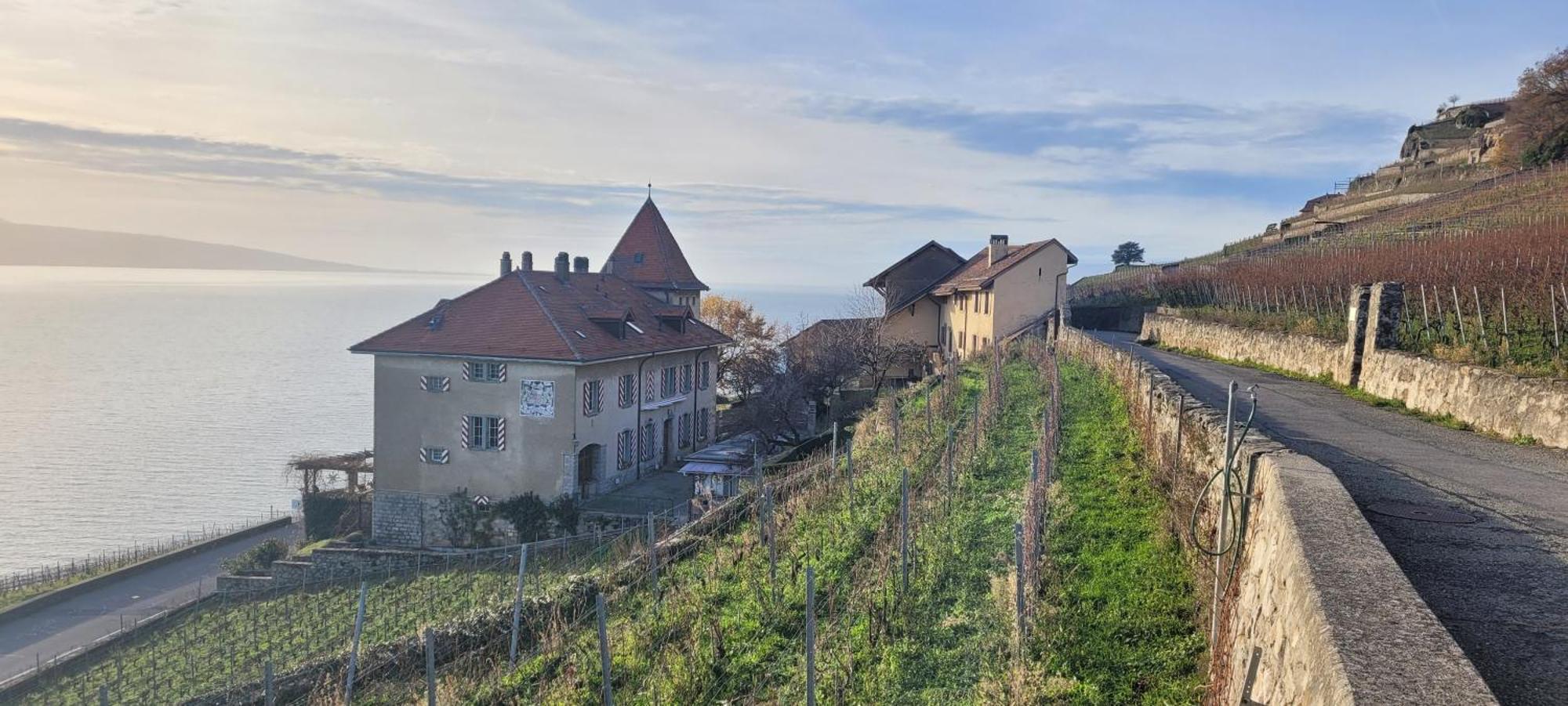 Domaine Du Burignon Otel Saint-Saphorin Dış mekan fotoğraf