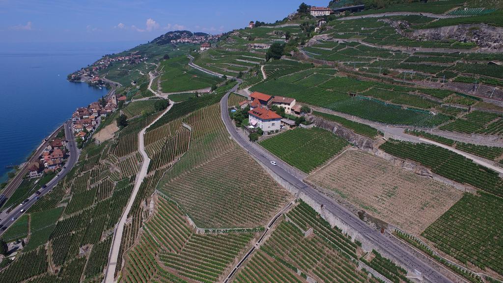Domaine Du Burignon Otel Saint-Saphorin Dış mekan fotoğraf