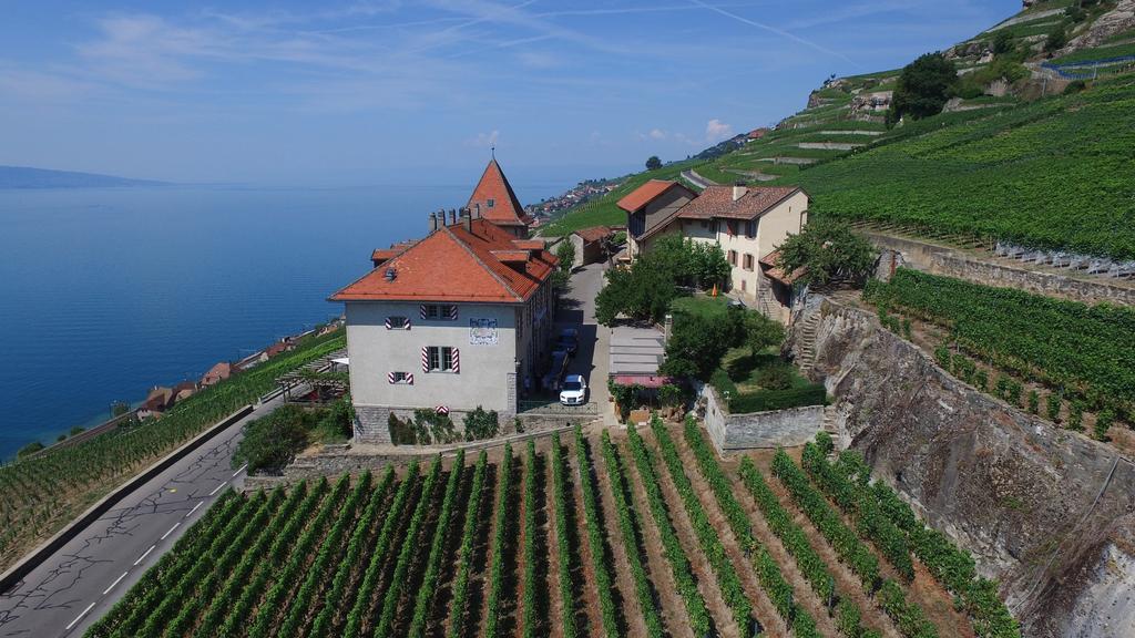 Domaine Du Burignon Otel Saint-Saphorin Dış mekan fotoğraf