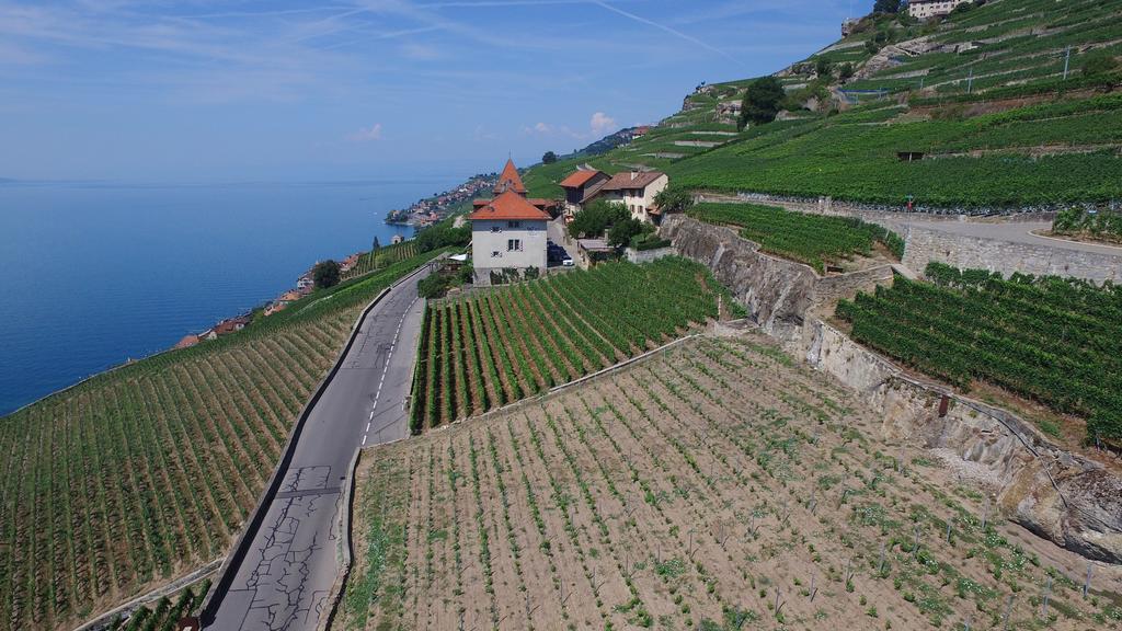 Domaine Du Burignon Otel Saint-Saphorin Dış mekan fotoğraf