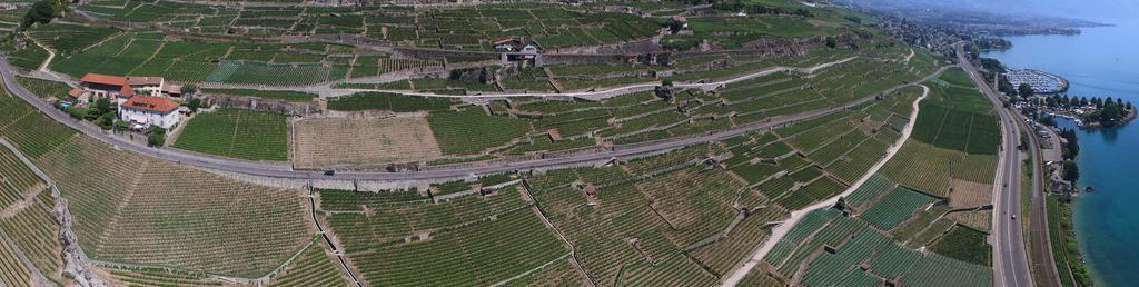 Domaine Du Burignon Otel Saint-Saphorin Dış mekan fotoğraf