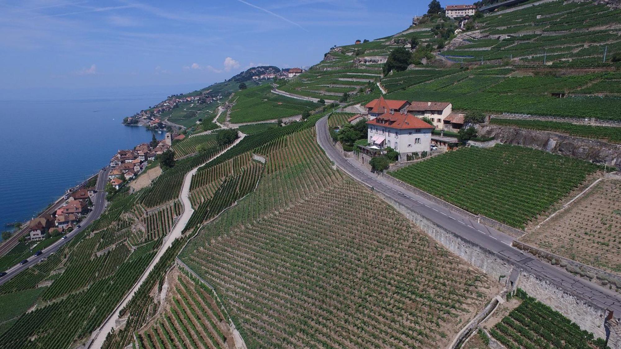 Domaine Du Burignon Otel Saint-Saphorin Dış mekan fotoğraf