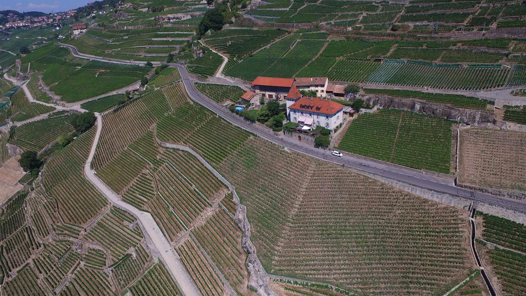 Domaine Du Burignon Otel Saint-Saphorin Dış mekan fotoğraf